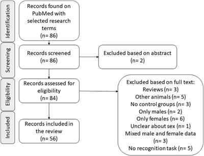 Object recognition tasks in rats: Does sex matter?